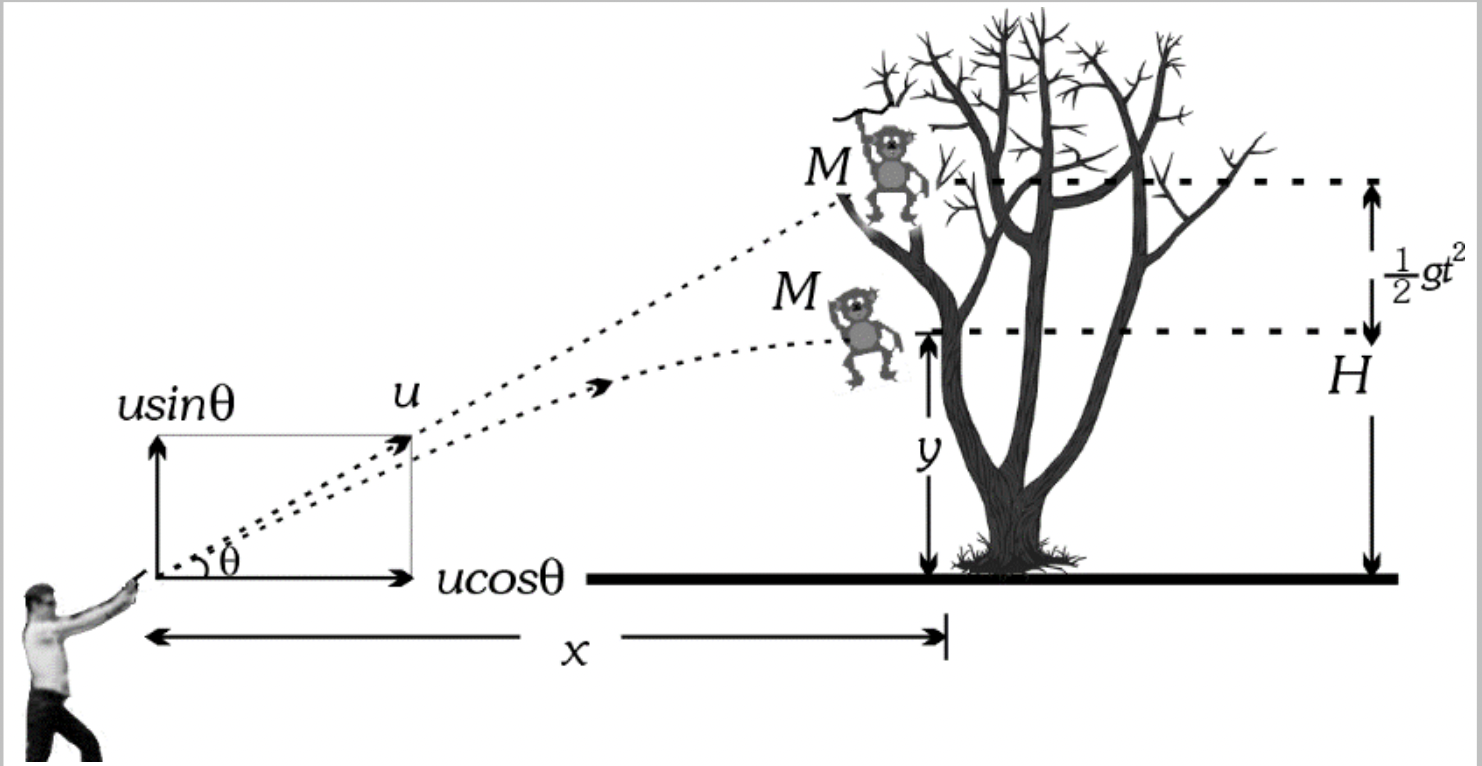 Projectile Motion Diagram