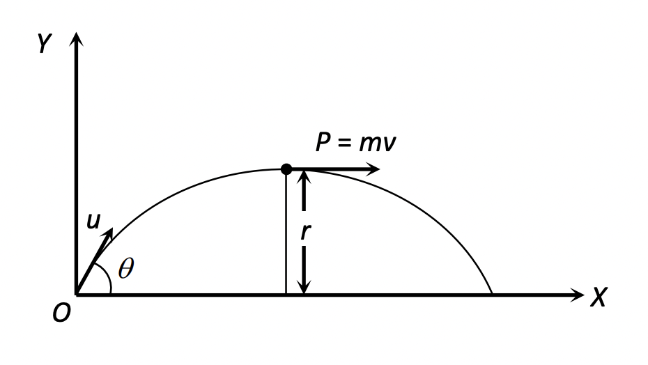 Angular Momentum Diagram